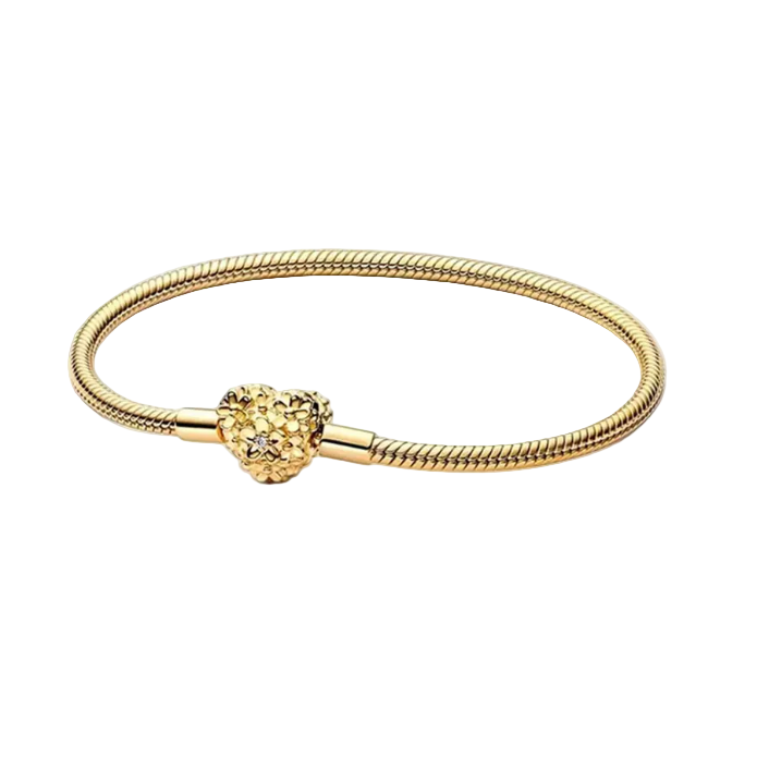 Gold bracelet with a heart-shaped clasp on a white background, 